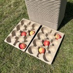 Paper fiber apple storage tray (50 pieces per pack)